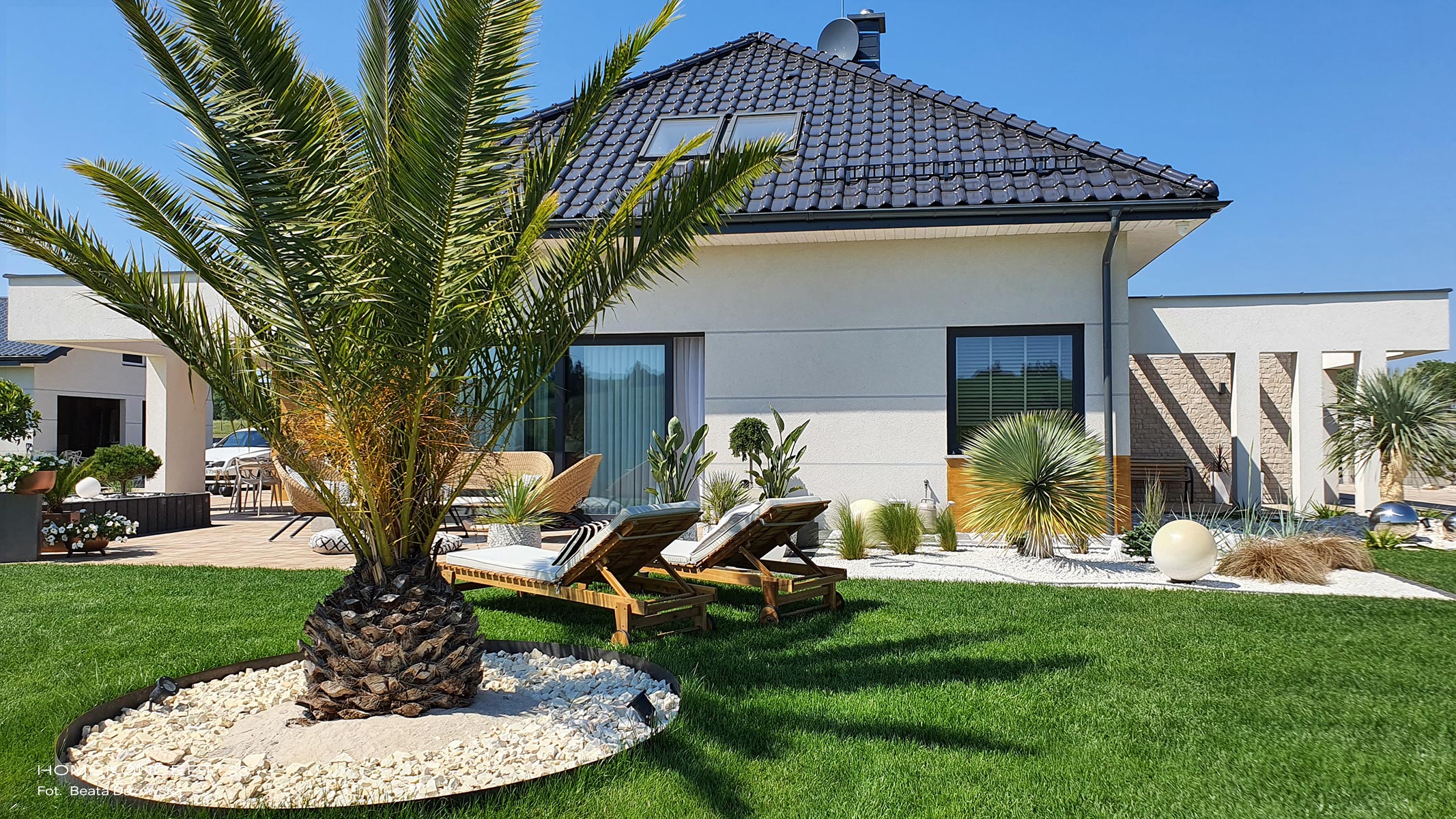 Palmy w nowoczesnym ogrodzie w polskim klimacie - realizacja HOMEKONCEPT 33