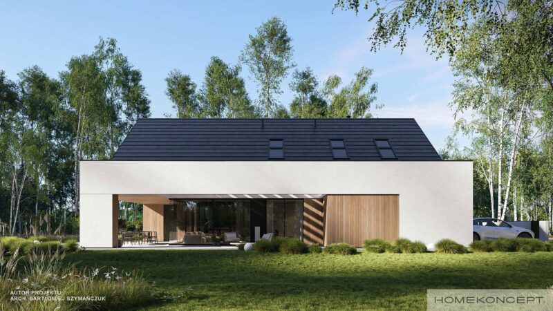 Projekt domu jednorodzinnego homekoncept 119 g2 - widok na nowoczesne belkowanie.