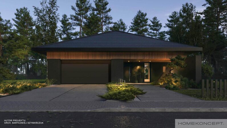 Projekt domu 150m2 homekoncept 104 - widok na bramę garażową.