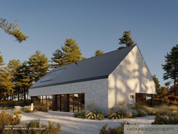 Projekt domu 150m2 homekoncept 119 - widok na bryłę w kształcie nowoczesnej stodoły.