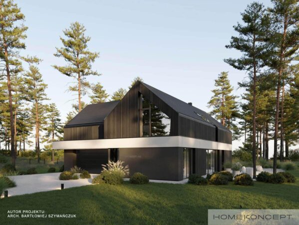 Projekt domu z poddaszem homekoncept 116 - widok na bryłę z ozdobnym belkowaniem wokół.
