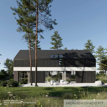 Dom nowoczesny homekoncept 116 - widok na ciemny dach oraz okna dachowe na poddaszu.