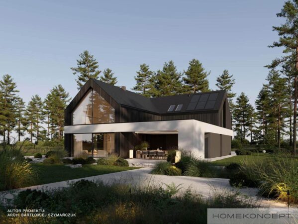 Projekt domu z poddaszem homekoncept 116 - widok na bryłę w stylu nowoczesnej stodoły.